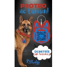Petjoo 24.Proteo Mavi-Kırmızı Qr'lı Köpek Künyesi