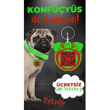Petjoo 9.Konfüçyüs Kırmızı-Yeşil Qr'lı Köpek Künyesi