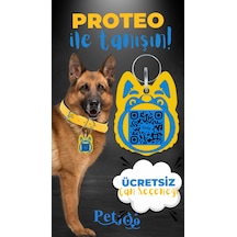 Petjoo 24.Proteo Mavi-Sarı Qr'lı Köpek Künyesi