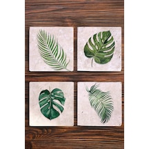 Doğal Taş Bardak Altlığı Uv Baskılı 4'lü Set Yaprak Desenleri - Stone Coasters Çok Renkli