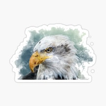 Araba Için Kartal Oto Sticker Yapıştırması Etiket 17Cm Aa1