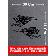 30X11 Cm