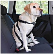 Köpek Emniyet Kemeri Medium 50-70 Cm Çok Renkli