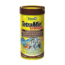 Tetramin Granules Balık Yemi 250 Ml 0.2M-Çok Renkli