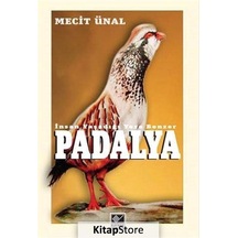 Padalya - Mecit Ünal - Kaynak Yayınları