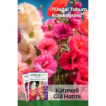 Patika Botanik 50 Adet Hatim Çiçeği Alcea Rosea Çiçek Tohumu