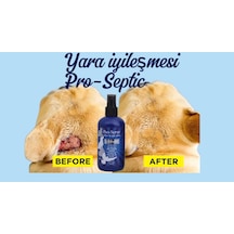 Pro-septic 250ml Doğal Antiseptik Doğal Hayvan Temizleme Yara Göz Kulak Silme Kedi Köpek Kuş Sağlığı Zararsız Sprey