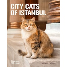 City Cats Of Istanbul Ciltli Thames & Hudson