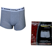 Boxerland Gri Likralı Erkek Boxer