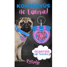 Petjoo 9.Konfüçyüs Pembe-Mavi Qr'lı Köpek Künyesi