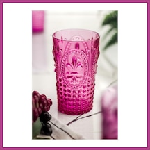 Gees Global Akrilik Pembe Tekli Uzun Bardak & Su Meşrubat Bardağı 750 Ml Büyük Boy & Cam Değildir Gbzs
