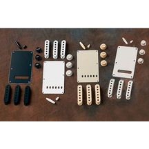 Fender Strat Accessory Kit Blk