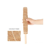 Diğer Tırmanan Pratik Lifli İçin Hindistan Destek Çubuğu Çözüm Cm Cevizi Bitkiler Bitki Adet 45 4 - Ol