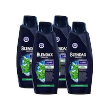 Blendax Erkek Mentol Ferahlığı Şampuan 4 x 500 ML Blendax Erkek Mentol Ferahlığı Şampuan 4 x 500 ML
