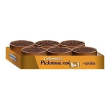Versele Laga Colombine Pickstone Red 5 + 1 Güvercin Minerali