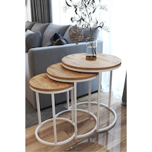 Beyaz - Atlantik Çam