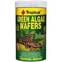Tropical Green Algae Wafers 250 G Kovadan Bölme