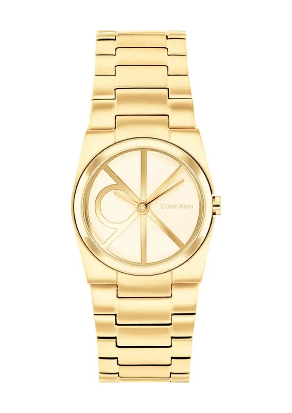 Calvin Klein Ck25100127 Kadın Kol Saati Gri