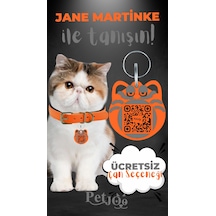 Petjoo 5.Jane Martinke Gri-Turuncu Qr'lı Kedi Künyesi