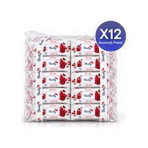 Biolly Daily Care Günlük Islak Mendil 120 Yaprak 12'li Paket 12'li Set