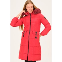 Dewberry Bayan Mont Z6706