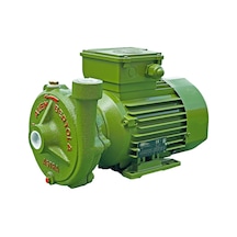 Alem Bertola Astra Bahçe Su Pompası 1 Hp 220 Volt Monofaze