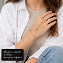 Clovera Élégance Hand Chain Dört Yapraklı Yonca Ve Zirkon Taş Detaylı Şahmeran Bileklik Çok Renkli