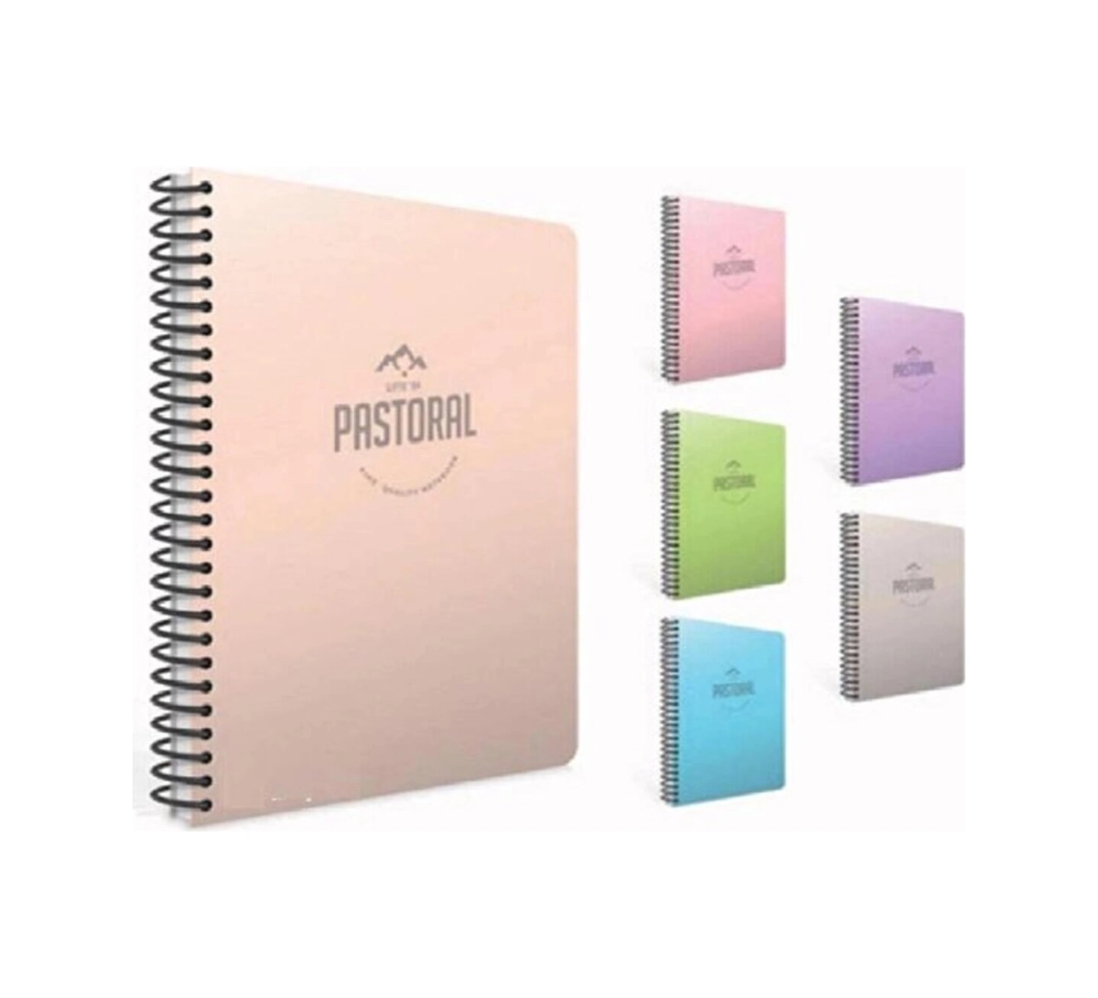 Pastoral Spiralli Plastik Kapak Defter A4 200 Yaprak Çizgili 5554 Karışık Renk 1 Adet Diğer