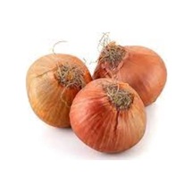 300 Adet Tohum Nadir Hobi Bahçe Kışlık Kuru Soğan Tohumu Uzun Ömürlü Soğan