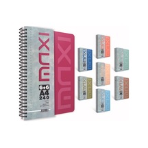 Gıpta Maxı Sp. Sep. Plastik Kapak Defter 17x24 150 Yp. 4+2 Çok Renkli