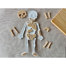 Montessori Eğitici İnsan Vücudu Yapbozu