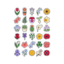 30 Adet Estetik Botanik Çiçek Sticker Seti - Laptop Defter Telefon Çok Renkli
