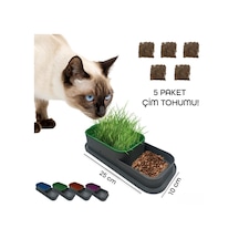 Pet Soft Hidroponik Kedi Çimi Yetiştirme Kabı Tohum Çimlendirme Seti