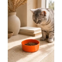 Hubrendy Sh Kase Model Beton Kedi Köpek Mama Ve Su Kabı 15cm Çap 5cm - Turuncu