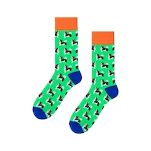 Carnaval Socks Sibirya Köpeği Desenli Renkli Çorap Çok Renkli