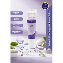 Royéva Akne Karşıtı Sivilce Kremi Salisilik Asit & Tea Tree Oil & Niacinamide Leke Karşıtı Spot Bakım Kremi 15 ML