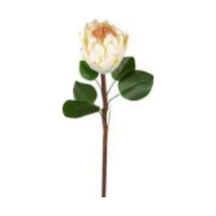 Yapay Çiçek Protea Bitkisi Krem 67 Cm. Çok Renkli