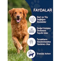 Köpek Biotin Damla 50 Ml Sıvı Deri Ve Tüy Sağlığı Desteği