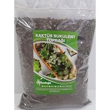 Kaktüs Toprağı 1 Litre Sukulent Aloe Vera Toprağı Özel Karışım Ithal Torf Pomza Perlit Vermikulit Diğer