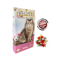 Catmozz Spring Bahar Aktif Karbonlu Kedi Kumu Koku Giderici 30 G