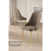 Canisa Krax Serisi, 1.sınıf Babyface Kumaş Mutfak Sandalyesi, Gold Metal Ayak, 1 Adet Cappucino Sandalye Sandalye Cappucino Ayaklar Gold