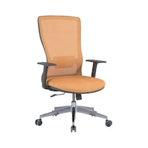 Uzayofismobilyaları Uzay Ofis Dominik Fileli Şef Koltuğu - Sarı