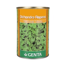 Dichondra Repens Çim Tohumu 250 Gr