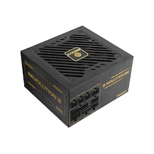 Revolutıon Iıı 850w 80+ Gold Pcıe 5.1 Full Modüler Atx 3.1 Güç Kaynağı Erv850g-ahg-mac