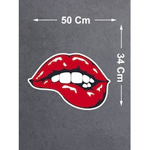 50X34 Cm