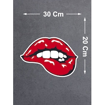30x20 Cm