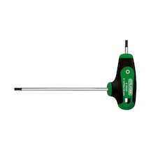 Ceta Form K12-015-100 T15 T Saplı Allen Torx