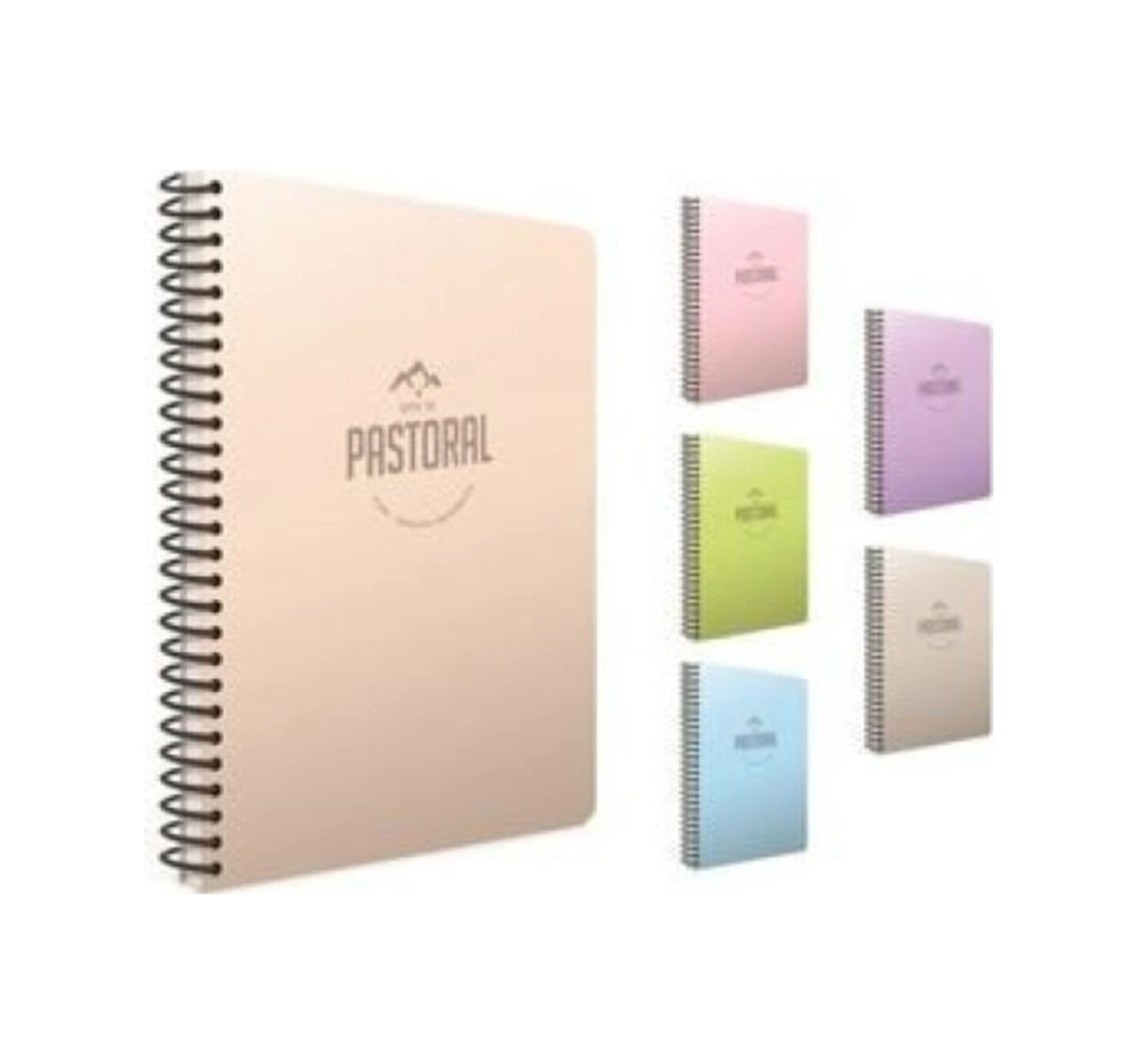 Pastoral A4 60 Yaprak Plastik Kapak Spiralli Defter 3234 Kareli