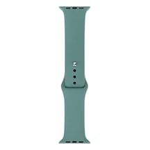 Uyumlu 40mm Band Serisi Klasik Kordon Silikon Strap Kayış-meat Meal