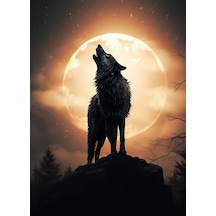 Ayın Önünde Uluyan Kurt Poster